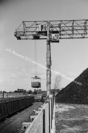 E.S.B. TURF PRODUCTION PLANT